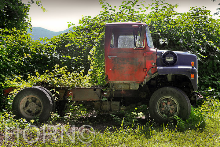 ABANDONED_TRUCK_118_ORIG