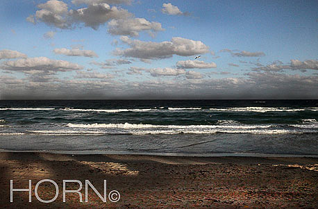 BEACH-161