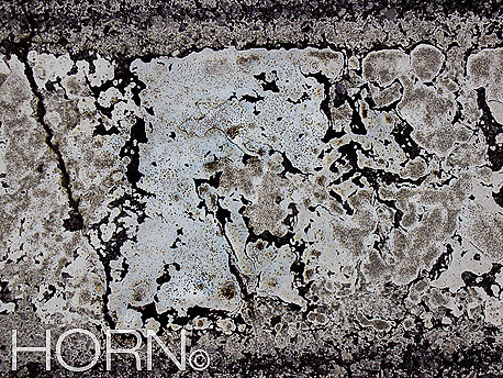 STREET-196