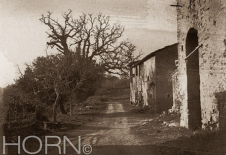 ITALY-193S