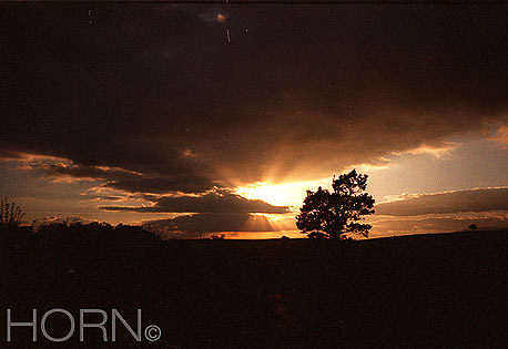 SUNSET-107