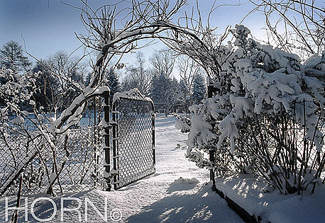 WINTER-103
