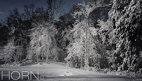 WINTER-106