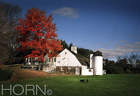 BARNS-102