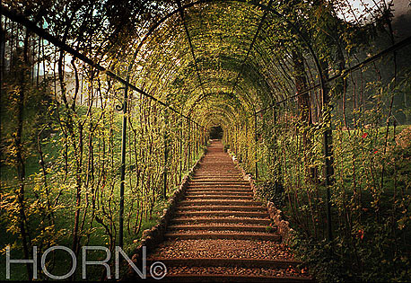 GARDEN-101