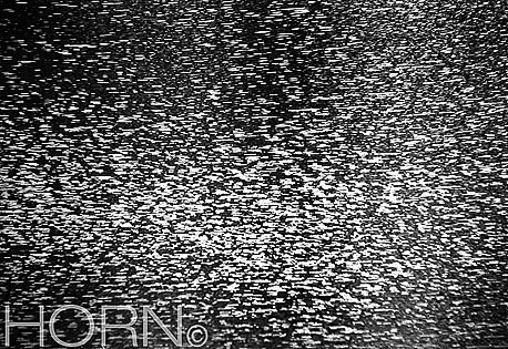 REFLECTION-105