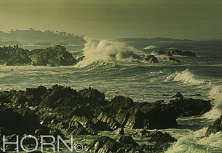 SEASCAPE-111