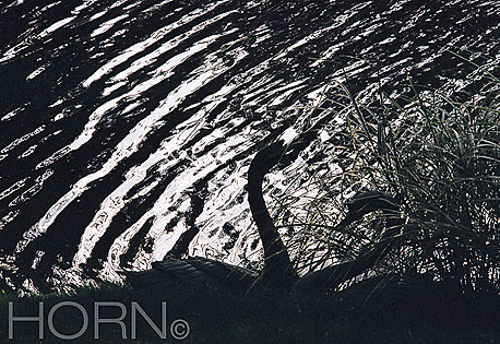 SEASCAPE-115