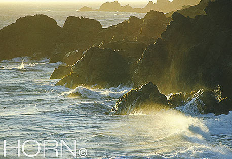 SEASCAPE-116