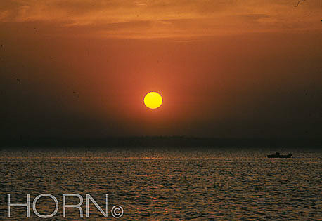 SUNSET-125