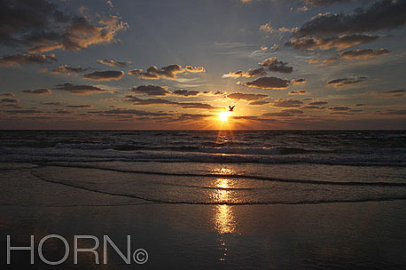 BEACH-255