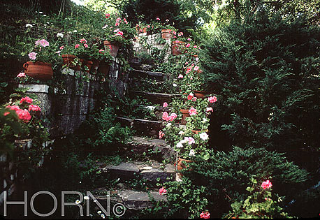 GARDEN-103
