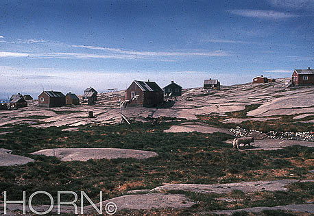 GREENLAND-106