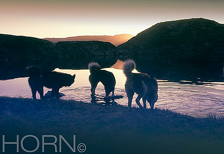GREENLAND-109