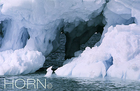 GREENLAND-130