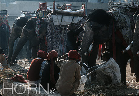 INDIA-117