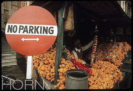 INDIA-118