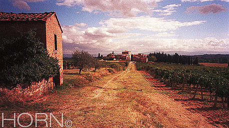ITALY-114