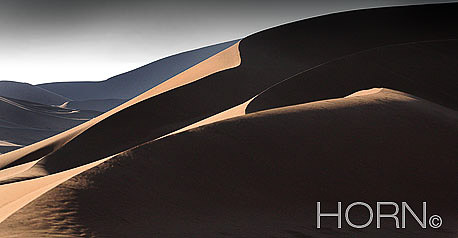 LANDSCAPE-102