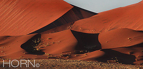 LANDSCAPE-105
