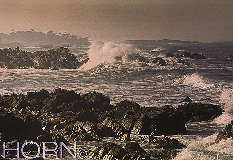SEASCAPE-111