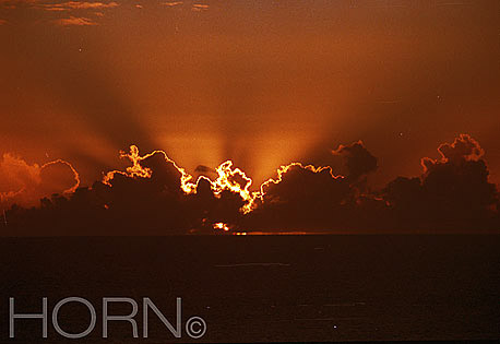 SUNSET-101