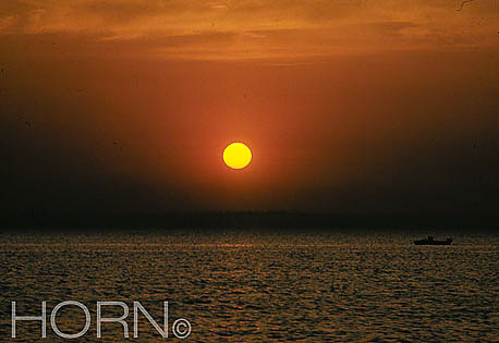 SUNSET-125