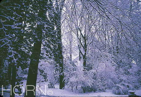 TREES-103