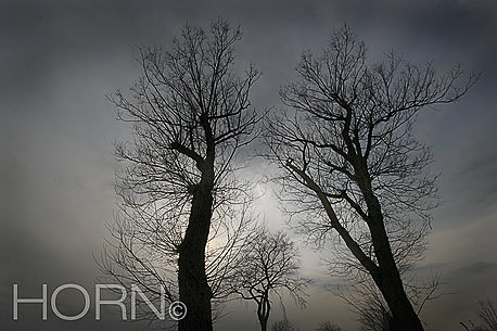 TREES-130