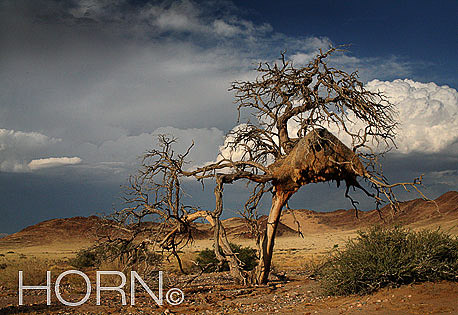 TREES-134
