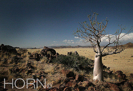 TREES-138