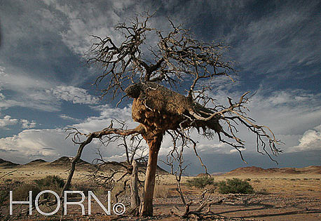 TREES-139