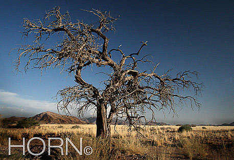 TREES-140