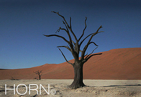 TREES-150