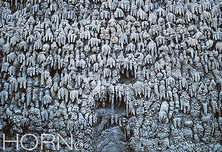 WALL-119