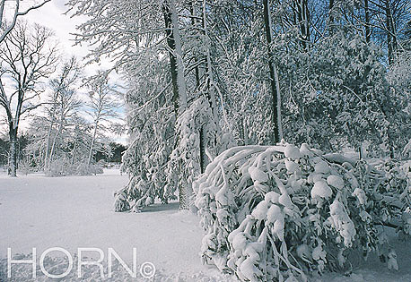 WINTER-102