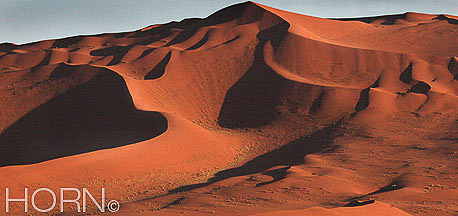 LANDSCAPE-106