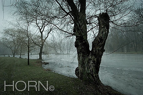 PASTORAL-124