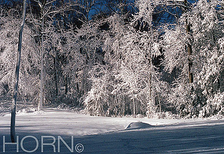 TREES-109