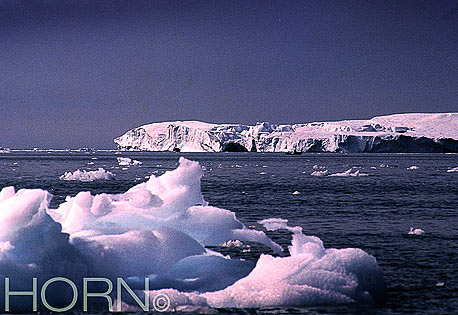 GREENLAND-119