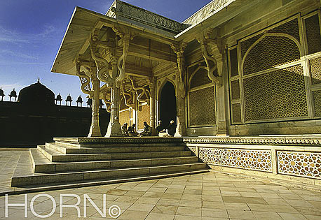 INDIA-113