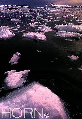 GREENLAND-121