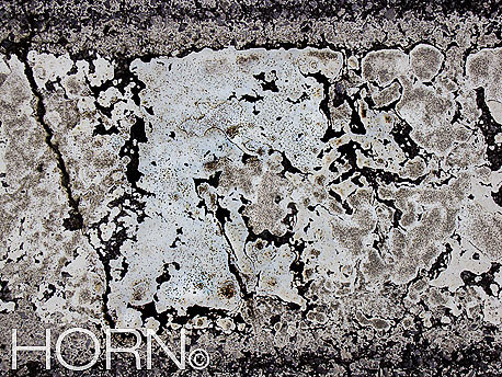 STREET-196