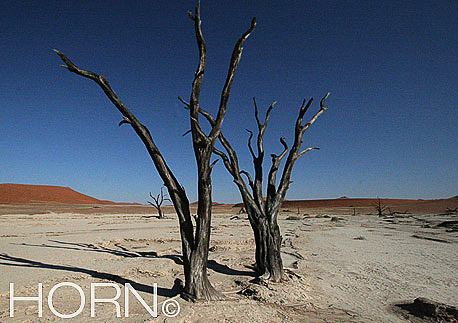 TREES-151